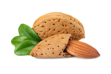 almond with green leaves isolated on white background