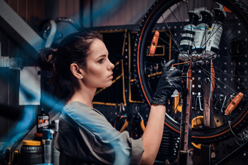 Fototapeta na wymiar Diligent beautiful girl is repairing bicycle at busy workshop between pneumatic wires.