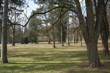 View of City Park Tivoli