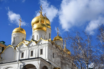Fototapeta na wymiar Annunciation church of Moscow Kremlin