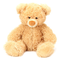 toy teddy bear isolated on white background