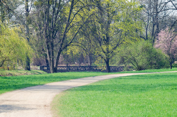 Obraz premium Path between trees in spring city park
