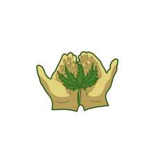 Two hands gently holding a sheet of cannabis, vector illustration