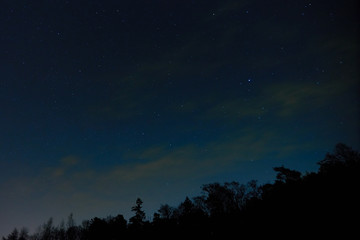 Fototapeta premium The night sky with stars and clouds with silhouettes of forest. Natural background. 