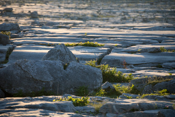 Felslandschaft The Burren - Irland