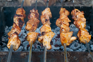 Cooking pork meat on the fire. Skewers with shashlik barbeque BBQ grill outdoor picnic.