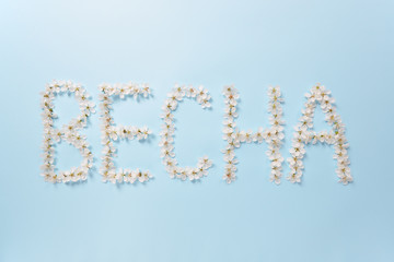 The word Spring (in Ukrainian and Russian languages) made from white cherry blossom flowers