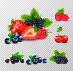Berries And Leaves Set