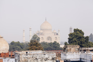 Obraz premium View of the Taj Mahal, Agra, Uttar Pradesh, India