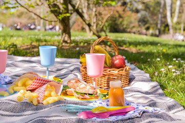 Colored plastic dishes and fruit basket, outdoor picnic sandwiches in the park. Nice sunny day and...