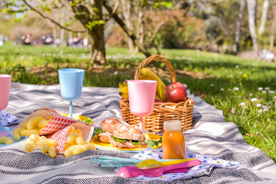 Colored plastic dishes and fruit basket, outdoor picnic sandwiches in the park. Nice sunny day and summer lunch.