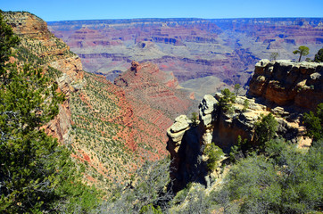 Grand Canyon is a steep-sided canyon carved by the Colorado River  adjacent rim are contained...