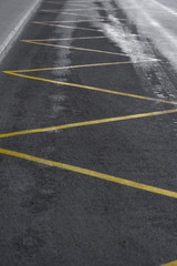 bus stop line road asphalt