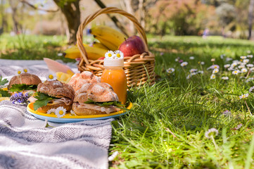 Lunch in the park in the open air. Family picnic on green grass. Sandwiches and drinks for a snack.