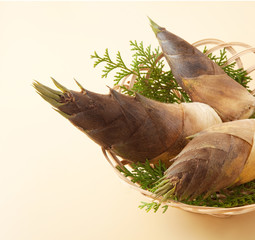 　竹の子 © ykokamoto