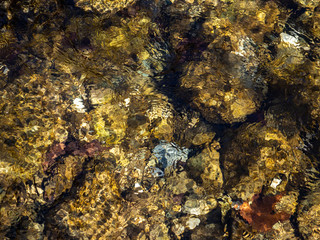 Clear mountain creek water - texture background
