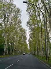 Puschikinallee In Berlin-Treptow