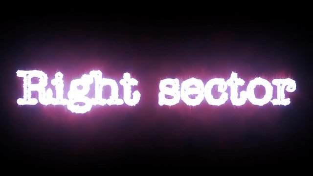 Right sector luminous word