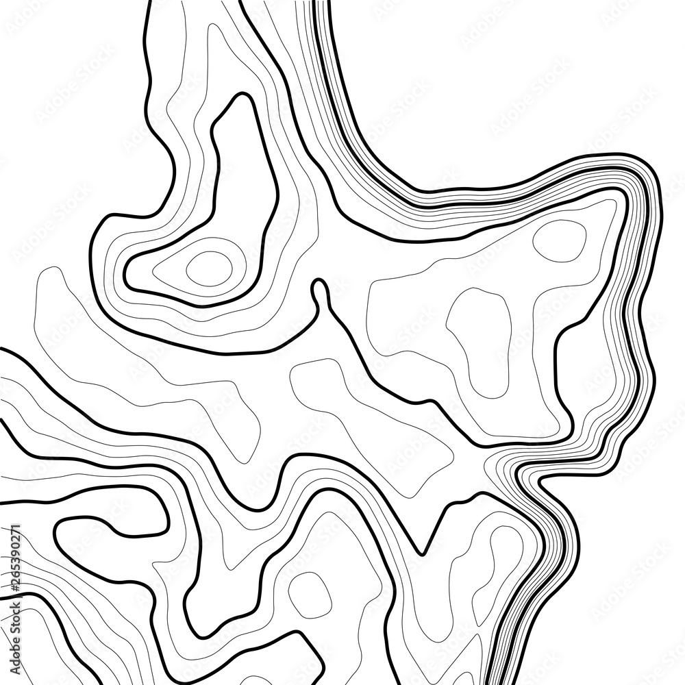 Poster topographic map background concept. topo contour map. geographic world topography map grid. line top