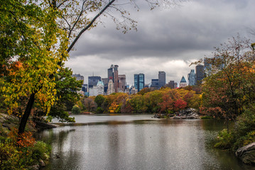 Fototapeta na wymiar New York landscape from central park