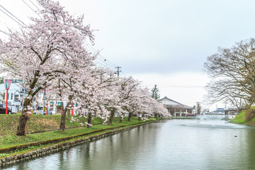 Obraz premium 春の新庄城跡の風景