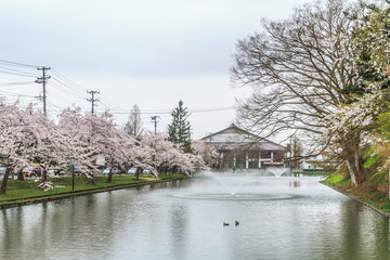 春の新庄城跡の風景