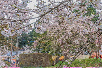 春の新庄城跡の風景