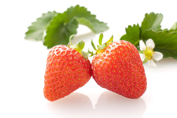 イチゴ　スタジオ撮影　