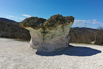 Fototapeta na wymiar Landscape with Rock formation The Stone Mushrooms near Beli plast village, Kardzhali Region, Bulgaria