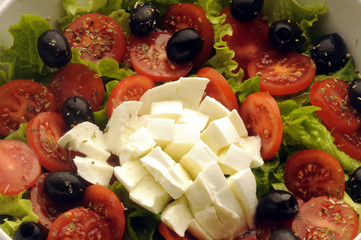 Insalata caprese ft31_9171 سلطة كابريزي  סלט קפרזה Cucina italiana Italian cuisine