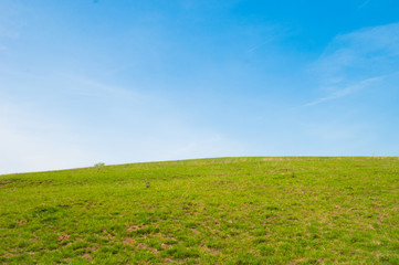 Fototapeta na wymiar Green field and blue sky 
