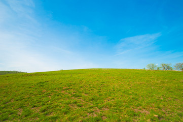  Green field and blue sky 