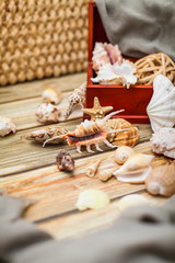 Close up Ancient casket for jewelry with collection of different seashells on wooden table.