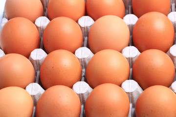 chicken eggs isolated on white background. Healthy food