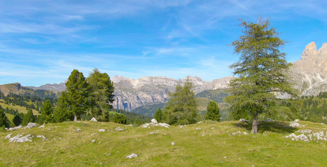 DRONE: Flying over a big pasture and towards the Dolomites on a sunny spring day