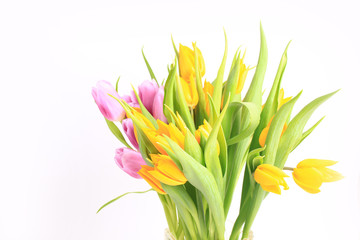 bouquet of multicolored tulips isolated on white background.