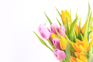 bouquet of multicolored tulips isolated on white background.