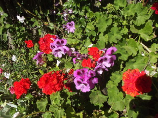 paisajes