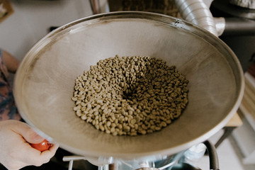 Fresh Green Organic Natural Coffee Beans being Poured into Industrial Coffee Roasting Machine in a...
