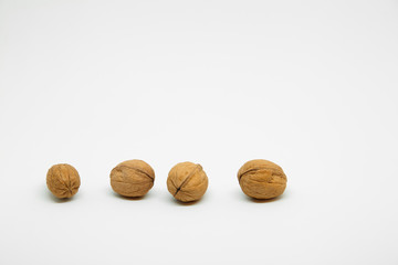 four walnuts in line on white background