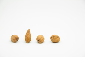 four walnuts in line on a white background in which one is a different walnut. Instead of being rounded it is elongated at the tip seeing its great difference.
