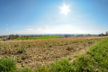 Landscape shot Mauthausen in Upper Austria / Austria