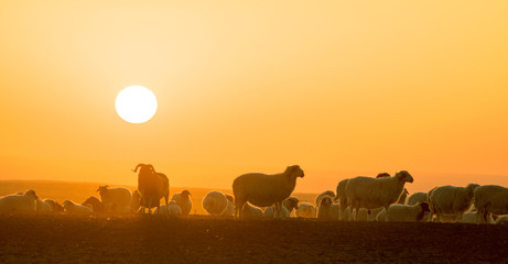 ranch scenery at sunset and the beautiful sky at sunset.