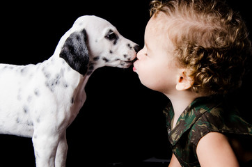 Amor de cão