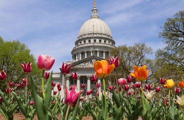 Wisconsin State Capitol building spring view with flower bed with bright tulips on a foreground. City of Madison, the capital of Wisconsin, Midwest USA.