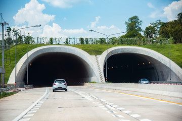Fototapeta na wymiar Bridge for animals over a highway forest road tunnel traffic car speed on street