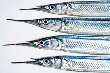 fresh garfish in Japan in Spring