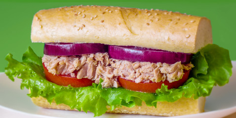Tuna sandwich on white plate. Blurred green background. Tuna, lettuce, onion, tomato, bread. Closeup.