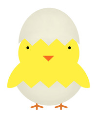 生まれたてのヒヨコ