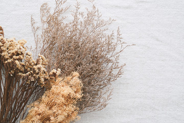 Beautiful dry flowers for interior decoration on brown fabric background.